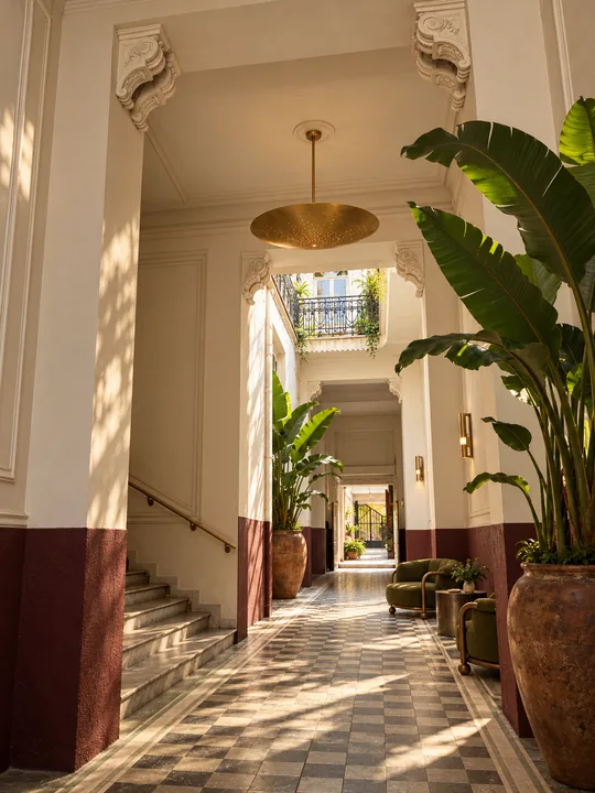 Ace Hotel: CDMX, historic entrance and planting